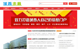 門戶網站推廣案例